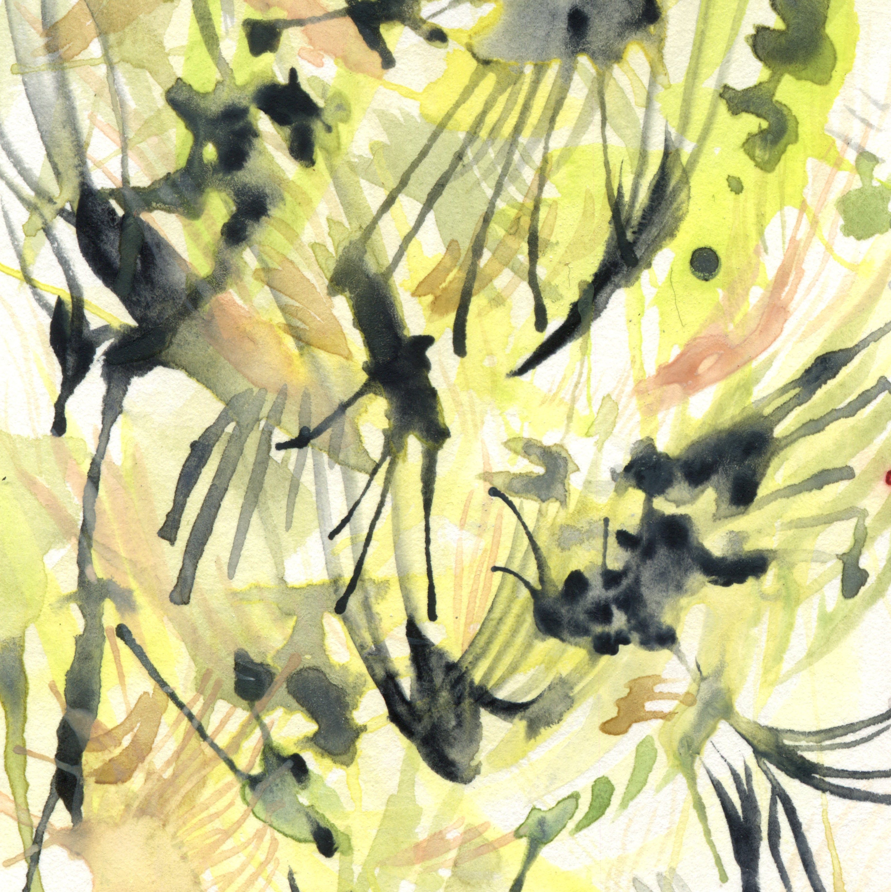 10 days of wild bird paintings