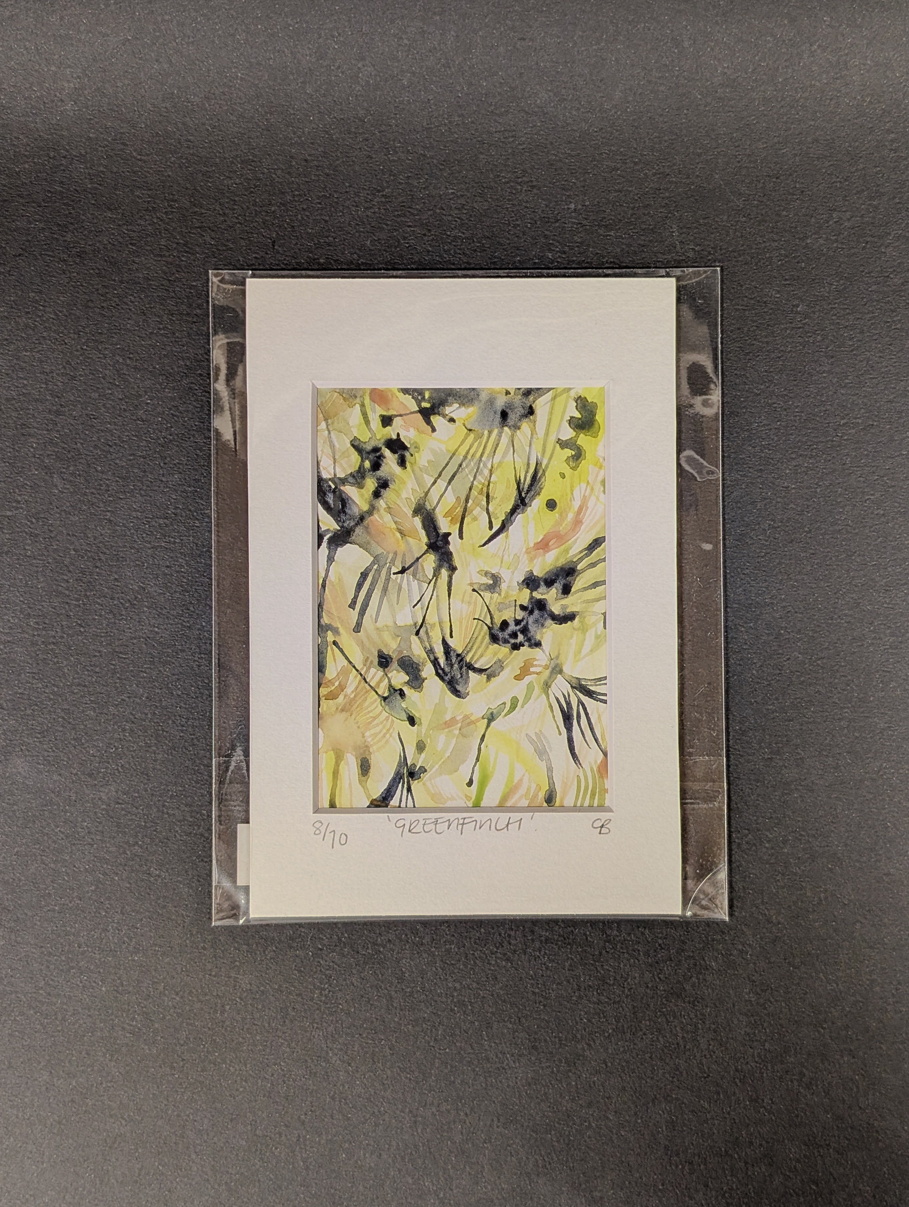 10 days of wild bird paintings